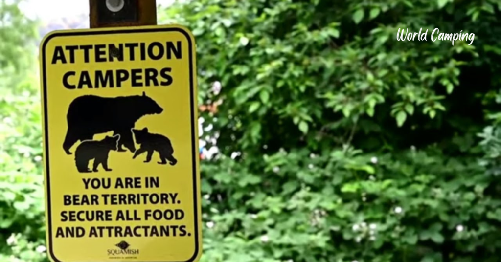 Be Aware Of Bear Signs
