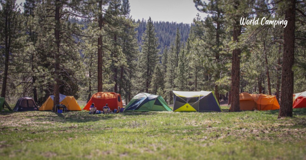 Understanding Tent Types