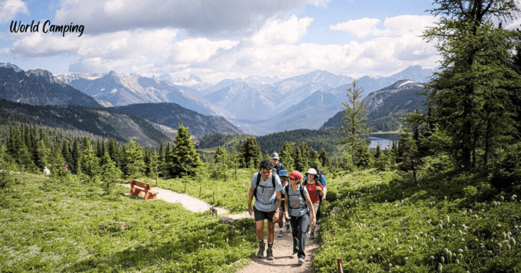 Designated Campfire Areas of banff National Park