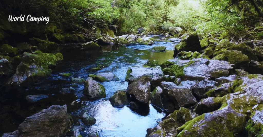 Kahurangi National Park