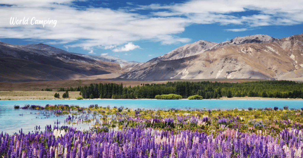 South Island of New Zealand